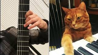 Maestro Cat’s Lullaby 🐱 by Akizguitar 99 views 1 year ago 48 seconds