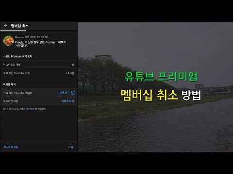   유튜브 프리미엄 멤버십 취소 해지 방법 무료 체험 취소