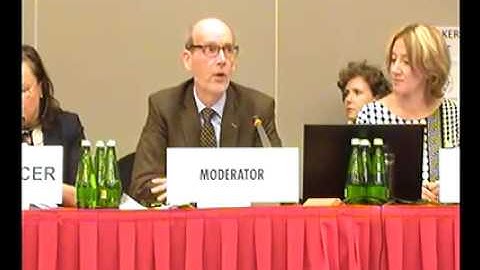 Working Session 8: Violence Against Women and Children