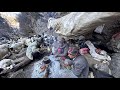 Himalayan village life  nepalorganic shepherd food cooking  shepherd life  real nepali life 