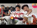 Vlog  7       