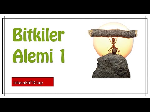 Bitkiler Alemi 1 #sayfa90