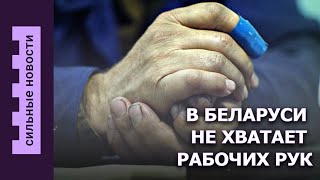 Лукашенко зовет пенсионеров / Город захватывают ужи /  IT по понятиям