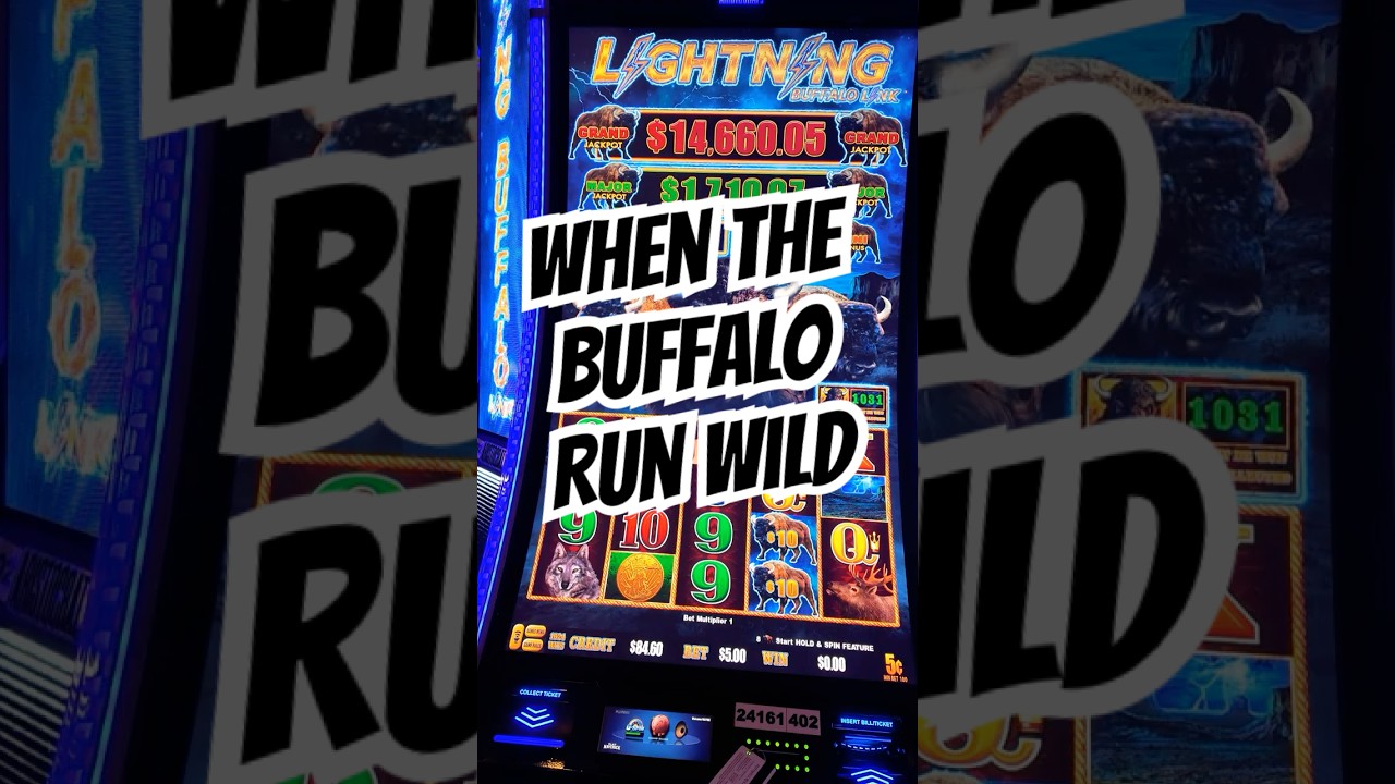 megajackpots wolf run casino Can You Guess How Much I Won On This Slot Machine? slot casino bonus