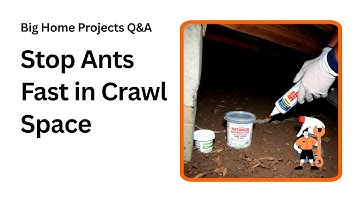 Stop Ants in Crawl Space Fast with These Easy Tips