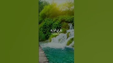 وقل رب اعوذ بك من همزات الشياطين #سورة_المؤمنون#قران_كريم#قرآن#القرآن_الكريم#راحة_نفسية#اكسبلور#لايك
