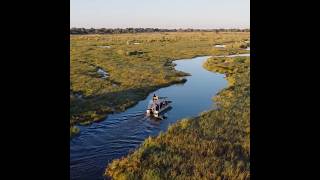 Mbamba — Safari in Botswana's Okavango Delta