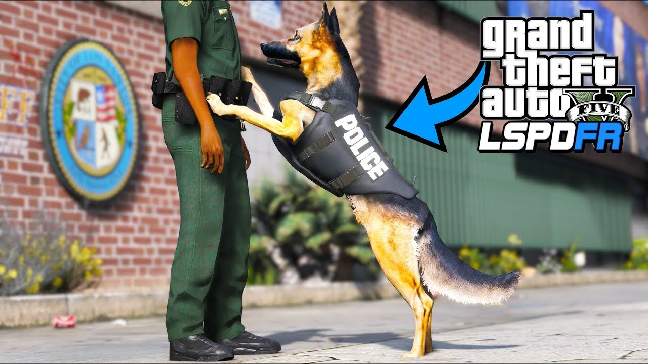 So I Played As A Police K9 Dog Gta 5 Mods Lspdfr Gameplay Youtube - k9 dog roblox
