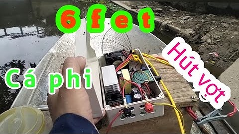 Tét máy kích cá đánh bộ mini 6fet mini thực tế 0362921480