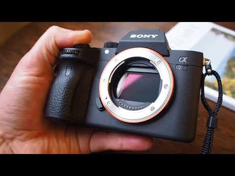 Sony Alpha A7 Mark III 10fps Continuous Shooting (Shutter sound without lens)