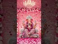 हे गौरी sut मंगल मारुति #viral #love #song #sonakshi saroj 💯💅🙏♥️🌺