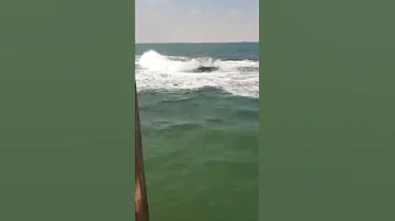 احنا جايين نسيب اثار 