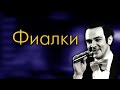 Фиалки (Муслим Магомаев) - Гульнар Кошенова и Жасулан Сыдыков