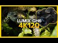 LUMIX GH6 4K 120 Test Footage: Tampa Aquarium