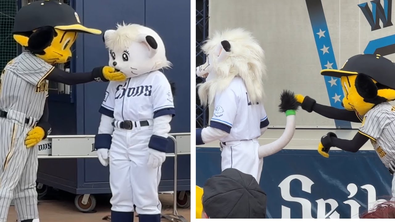 トラッキーに餌付けされてしまうライナ、尻尾で遊ばれるレオ兄妹【西武vs阪神】2023/5/30 セ・パ交流戦ステージイベント