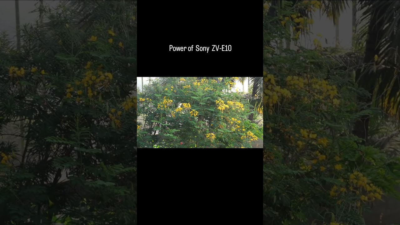 Сила в ваших руках.. 💪 