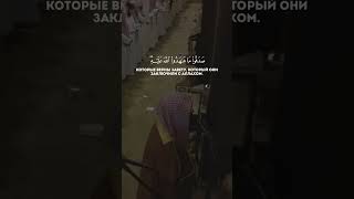 Сура 33 Аль-Ахзаб Чтец Мухаммад Аль-Люхайдан аят 23 #reels #напоминание #рекомендации #субханаллах