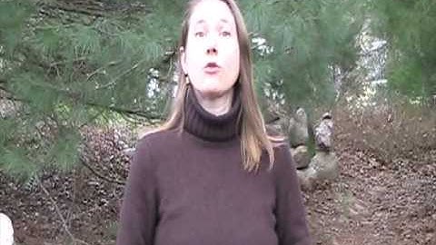 Network Marketing Tips: Learn The Power of Leverage For Your Network Marketing Business.mpg