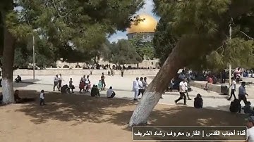 تلاوة عطرة للقارئ معروف رشاد الشريف من المسجد الاقصى