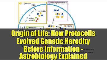 Origin of Life: How Protocells Evolved Genetic Heredity Before Information - Astrobiology Explained
