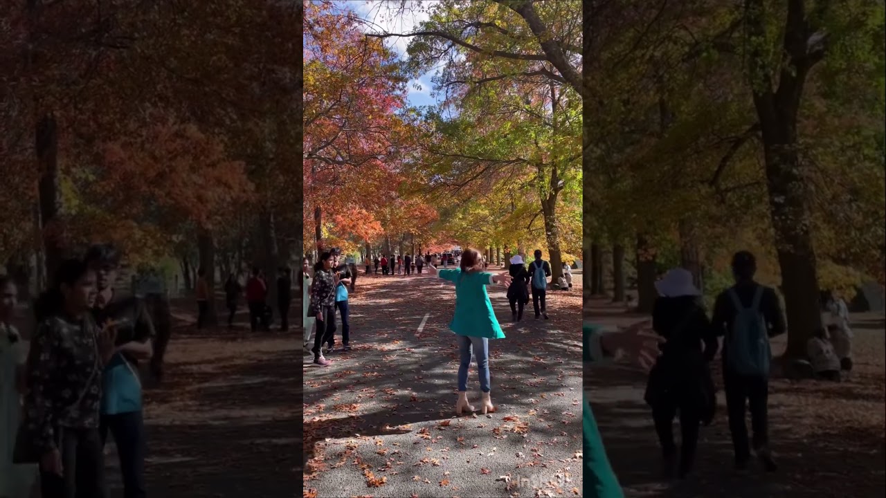 Mùa Thu ở Melbourne - Austrailia 