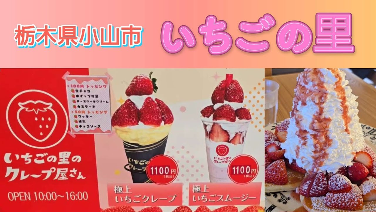 【いちごの里】いちごの季節はここに行くといちご尽くし
