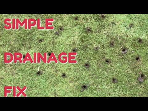 SIMPLE drainage FIX* CHEAP way to cure bad drainage*