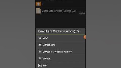 Don brandman download for PSP