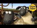 Sheep Mischief Shaun The Sheep Cartoons For Kids Full Episodes Compilation 1 Hour 
