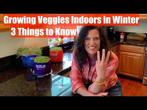 Growing Vegetables Indoors in Winter - 3 Things You Need to Know