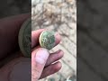 A pretty neat 1870s 1880s police button i pulled out the other day! #