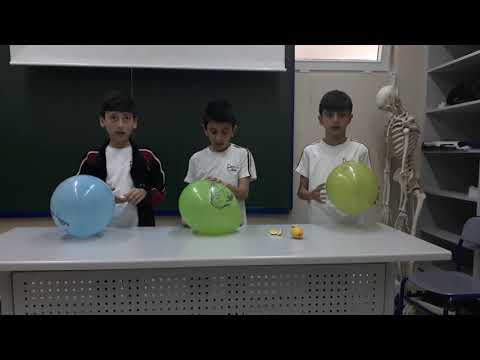 Limon ile balon patlatma deneyi (6lar)