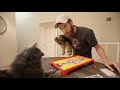 TRYING TO PLAY GAMES WITH MY CAT & DOG! (LEFTOVERS!)