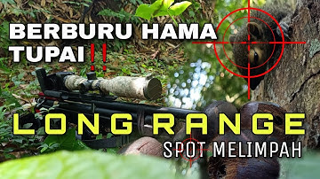 BERBURU TUPAI LONG RANGE‼️Bertemu Gerombolan Tupai || Ngabuburit ramadhan 2022  #sniper #viral
