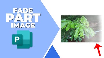 How to fade part of an image in Publisher