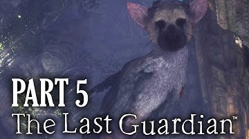The Last Guardian Gameplay Walkthrough Part 5 - DON
