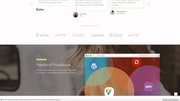 Elise - Modern Multi-Purpose WordPress Theme