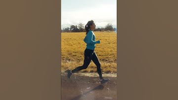 The Fundamentals of Running