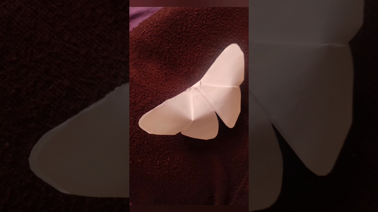 DIY paper Butterfly 🦋