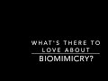 Why we love biomimicry