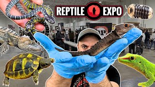 I got 2 GIANT Croc Skinks + 8 RARE pets at the Toronto Reptile Expo! April 2024