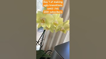 Day 1 of making ugly transitions until i hit 200 subscibers