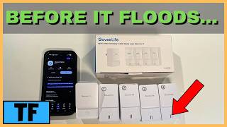 Celebrity The Govee Water Leak Detector Every Homeowner Needs! - GoveeLife Smart Wifi Water Leak Detector 2 Wealth