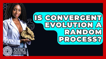 Is Convergent Evolution A Random Process? - Science Through Time
