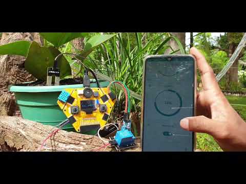 Plant watering and