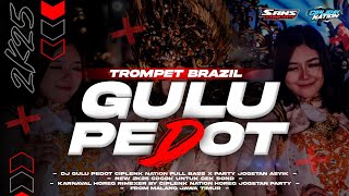 DJ GULU PEDOT X MELODI TROMPET BRAZIL VIRAL KARNAVAL TIKTOK 2025 - CIPLENK NATION