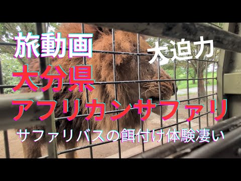 [旅動画] 大迫力！猛獣にエサをあげるサファリバス　アフリカンサファリ☆大分県宇佐市