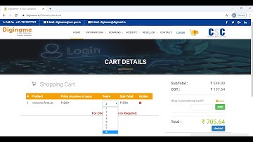What is Diginame and Domain?