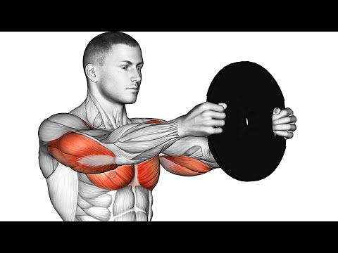 10 Exercises You Can Do with Weight Plates