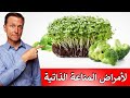 طريقة طبيعية لعلاج أمراض المناعة الذاتية مثل التهاب المفاصل والتهابات القولون والصدفية الجلدية